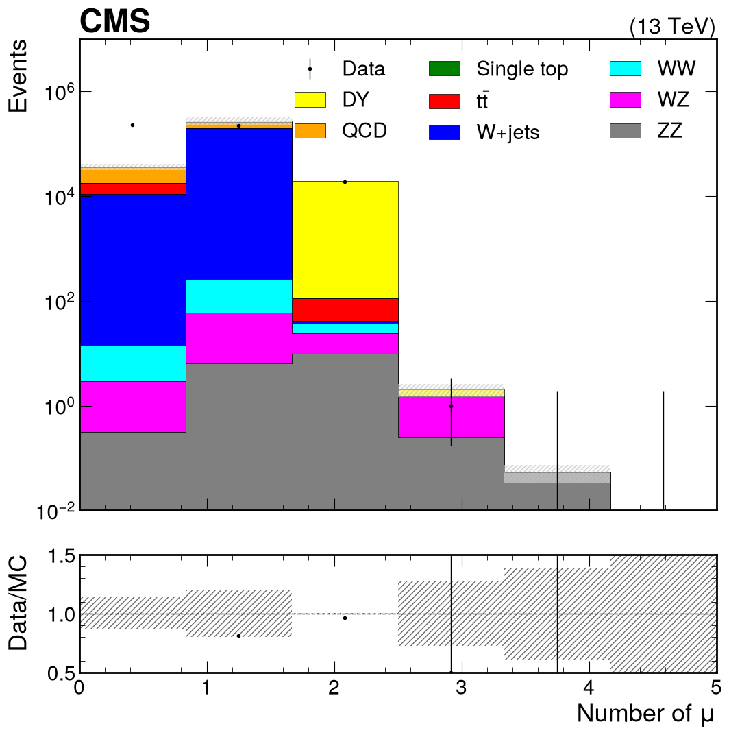 Number of muons projection